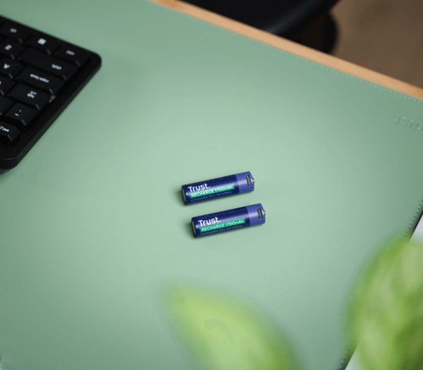 Pack X 2 Pilas Aa Recargables Trust 25584 Por Usb C - Image 4