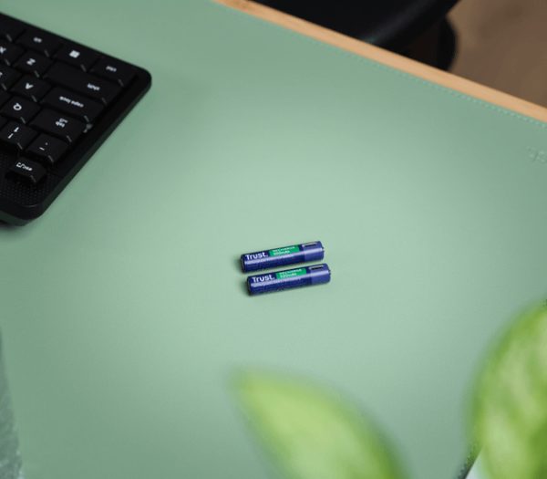 Pack X 2 Pilas Aaa Recargables Trust 25585 Por Usb C - Image 3