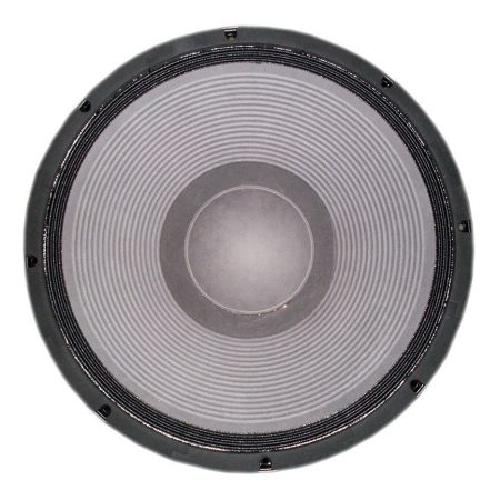 Parlante De 18 Xpro 600 Wrms Pa18