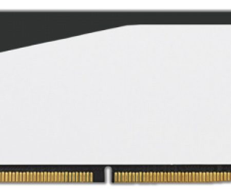 Memoria Patriot Ddr5 Viper Elite 5 16gb Ddr5 5600mhz