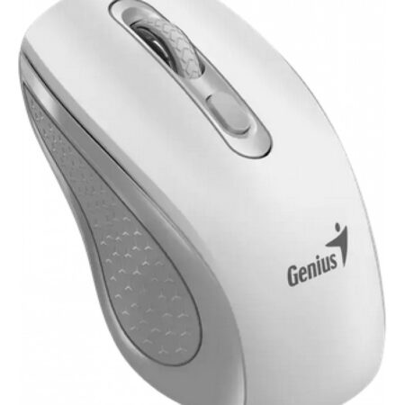 Mouse Inalambrico Genius Nx-8025s Pila Aa 1200dpi