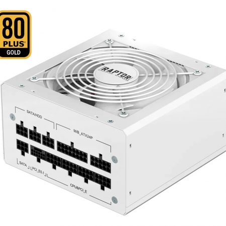 Fuente Raptor Volt 800w 80 Plus Gold Full Modular Pcie 5.1